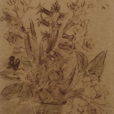 Fiori a Portofino