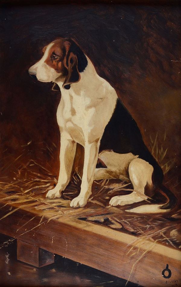 Scuola Inglese, XIX sec. - Foxhound