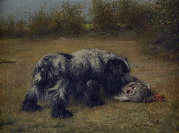 Scuola Inglese, XX sec. - Cocker spaniel 
