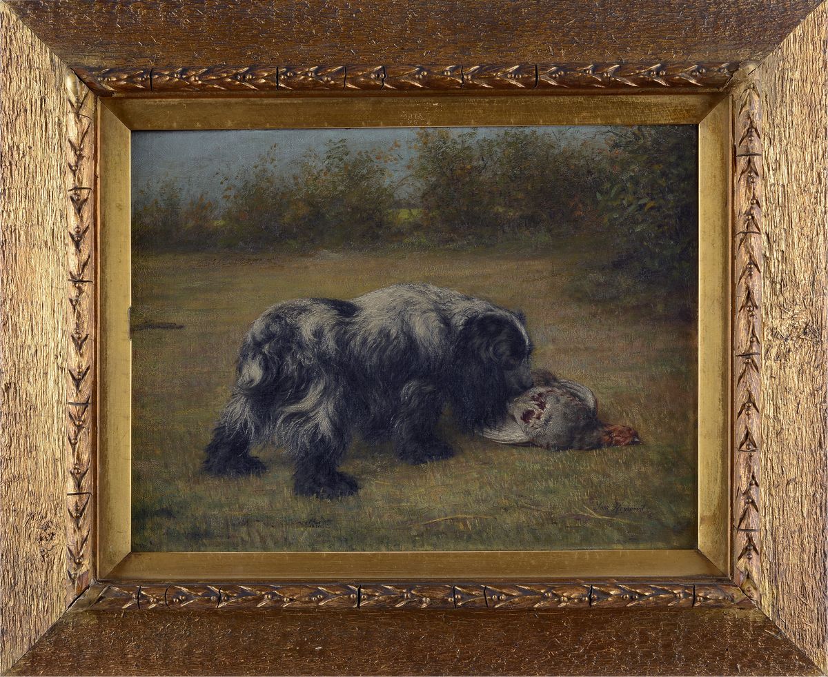 Scuola Inglese, XX Sec. - Cocker Spaniel