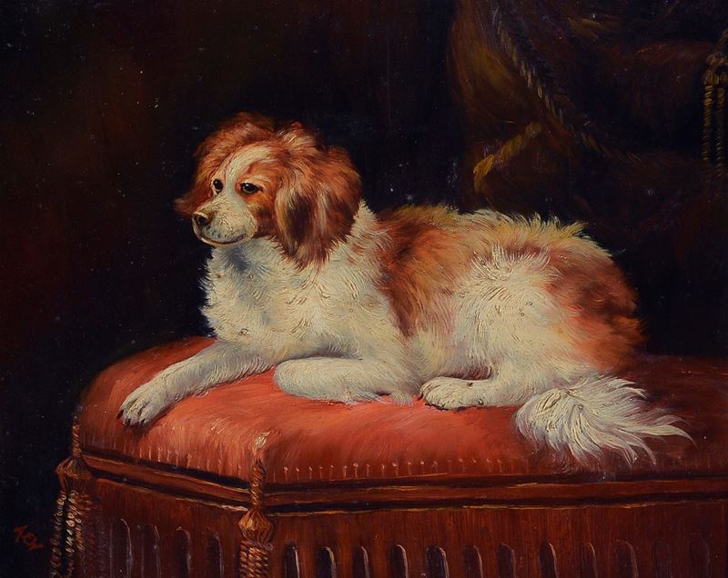 Scuola Inglese, XIX Sec. - Cavalier King