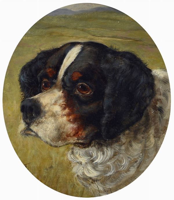 Anonimo, XX sec. - Bovaro del Bernese