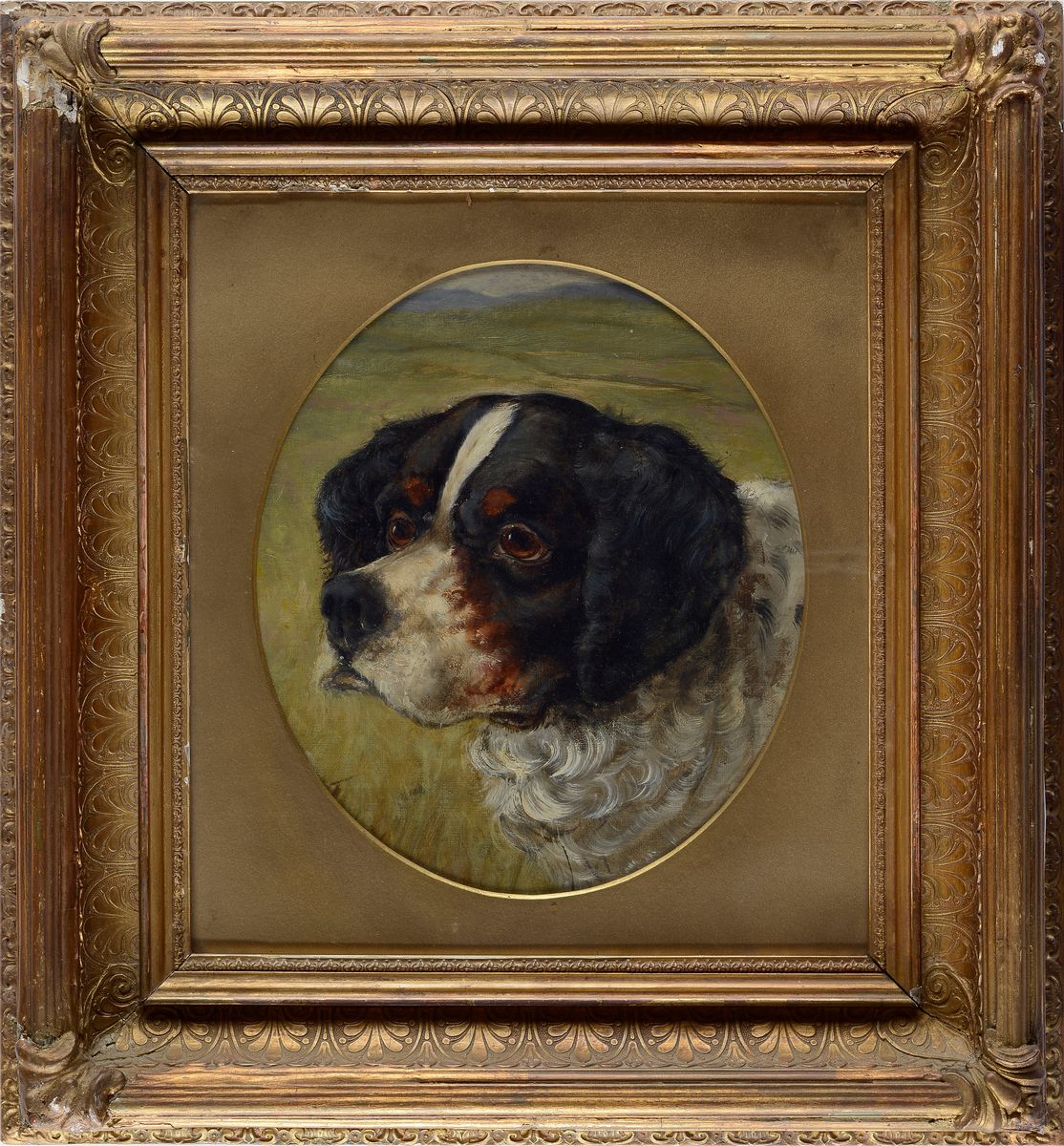 Anonimo, XX Sec. - Bovaro del Bernese