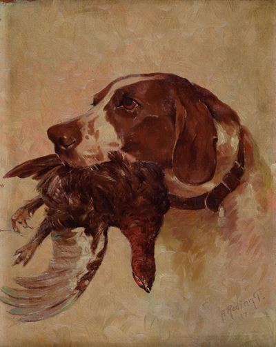 Pointer con Fagiano