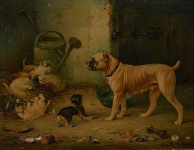 Giochi di Cuccioli