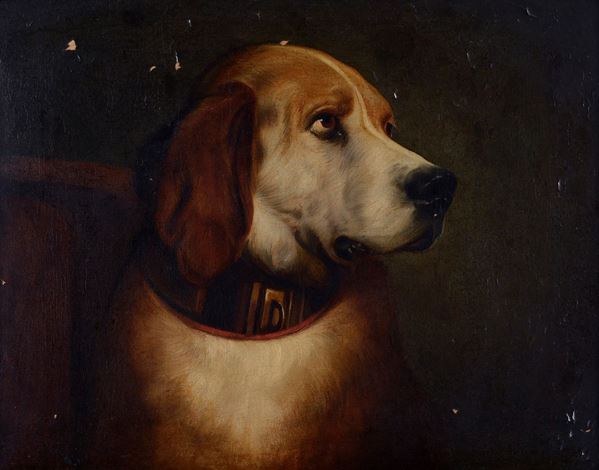 Scuola Inglese, XIX-XX sec. - Beagle