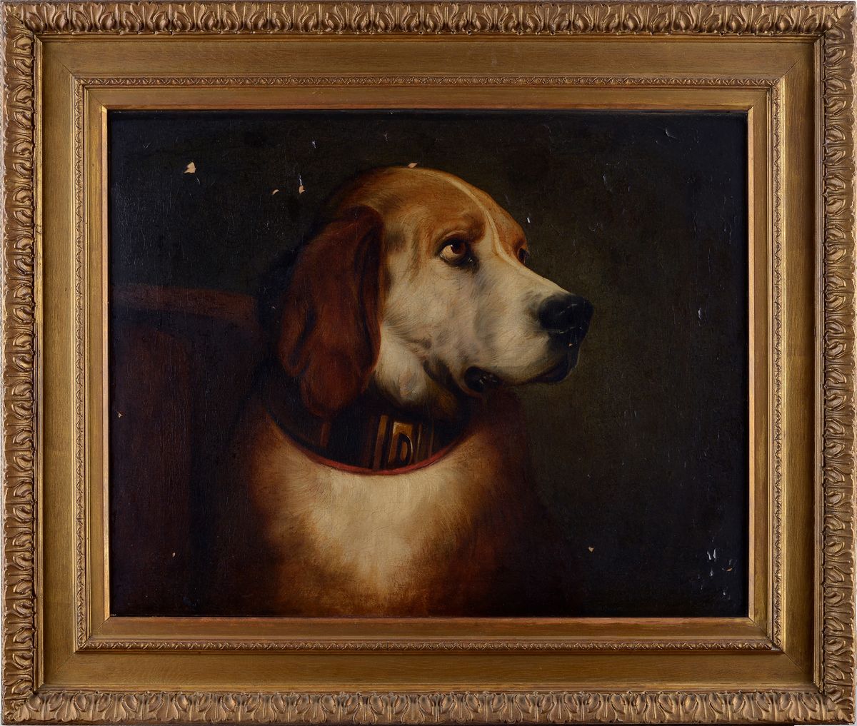 Scuola Inglese, XIX-XX Sec. - Beagle