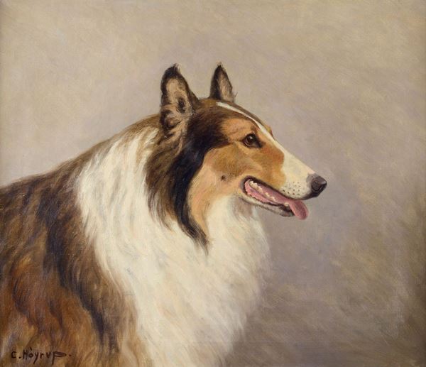 Carl Hoyrup - Border Collie