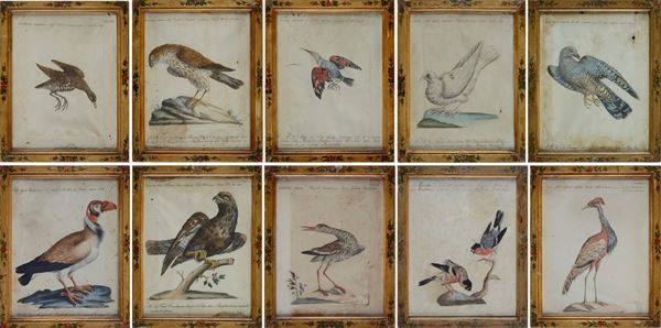 Xaverio Manetti - Dieci tavole ornitologiche 
