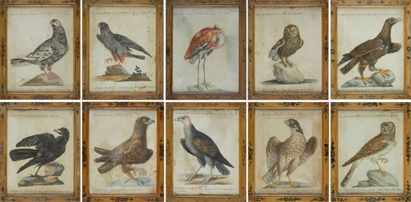 Xaverio Manetti - Dieci tavole ornitologiche 