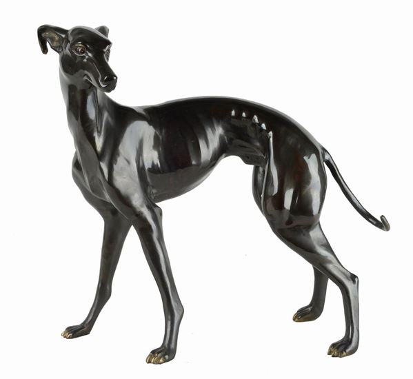 Greyhound