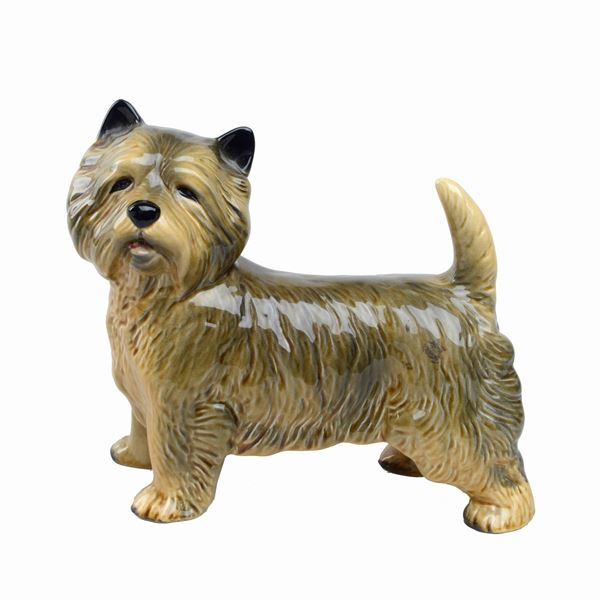 West highland terrier