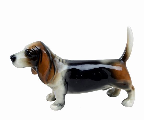 Basset hound