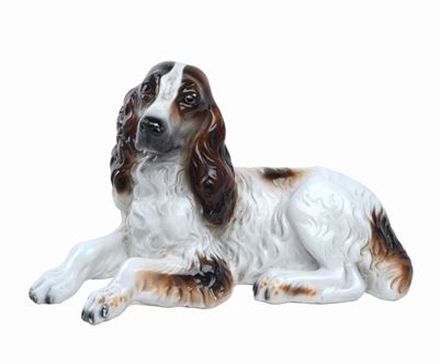Setter Accucciato