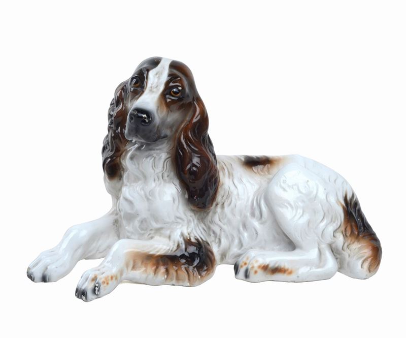Setter Accucciato