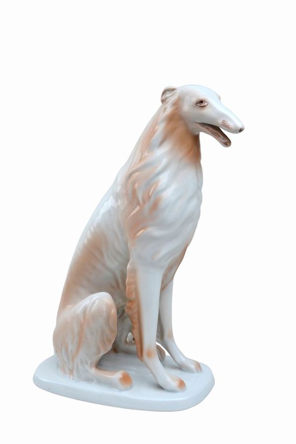 Levriero borzoi seduto