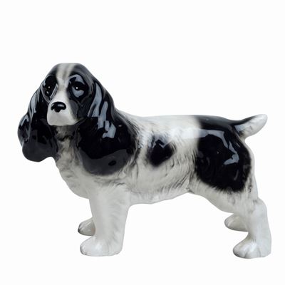 Spinger Spaniel