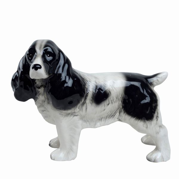 Spinger Spaniel
