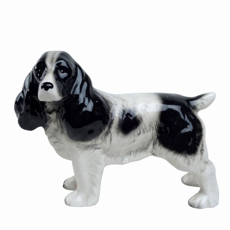 Spinger Spaniel