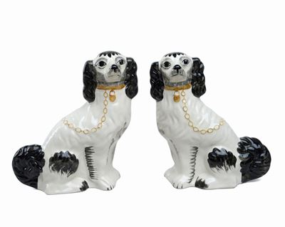 Coppia di Cani Staffordshire