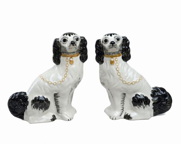 Coppia di cani Staffordshire