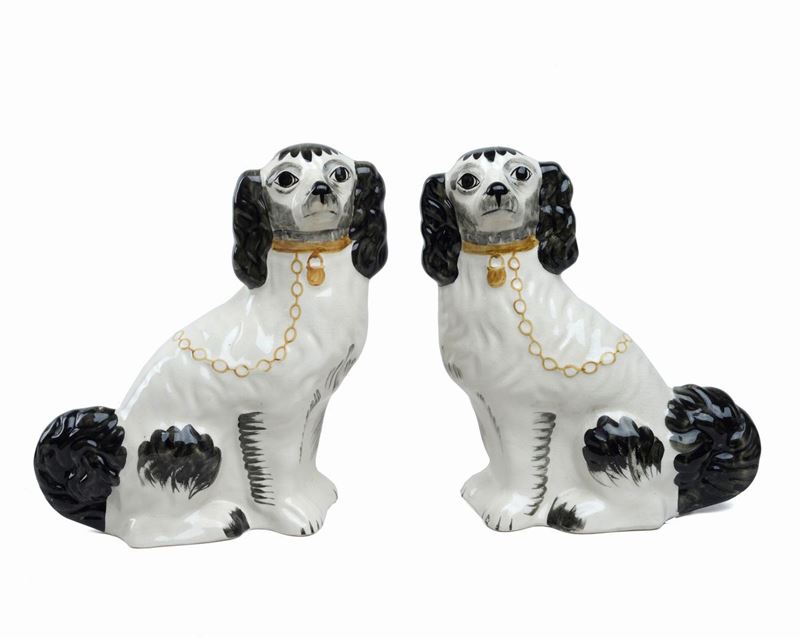 Coppia di Cani Staffordshire