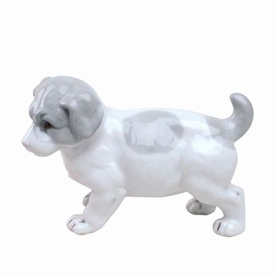 Cucciolo