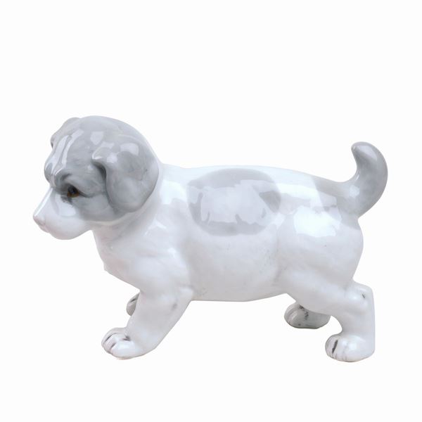 Cucciolo