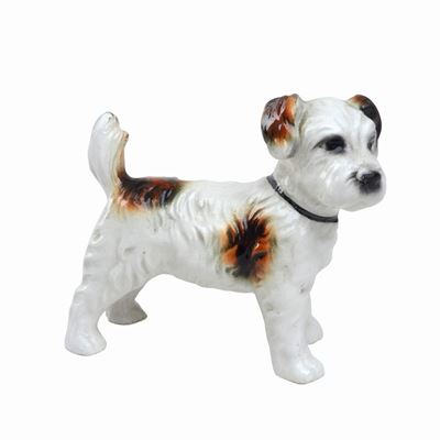 Jack Russel