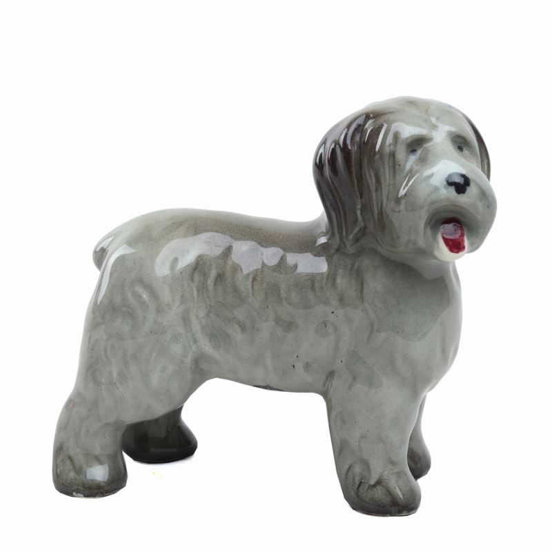 Bearded Collie