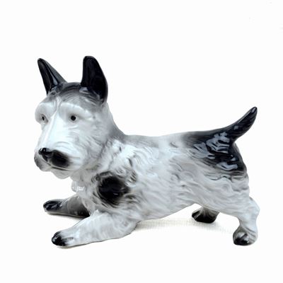 Scottish Terrier