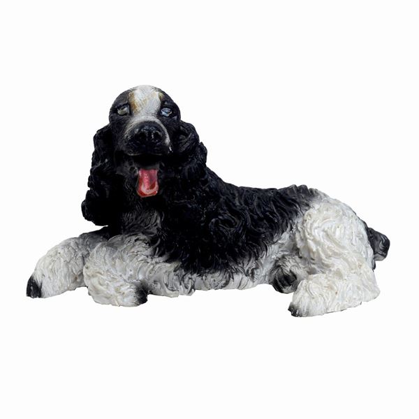 Cocker disteso