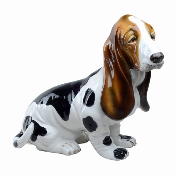 Basset hound