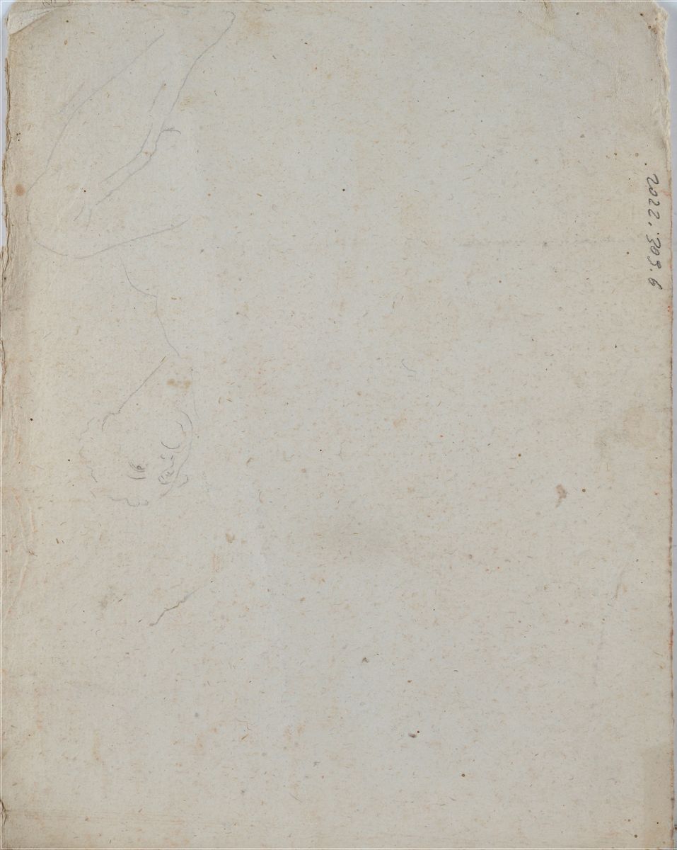 Anonimo, XVIII Sec. - Studio delle Decorazioni di Palazzo Farnese (da Annibale Carracci)
