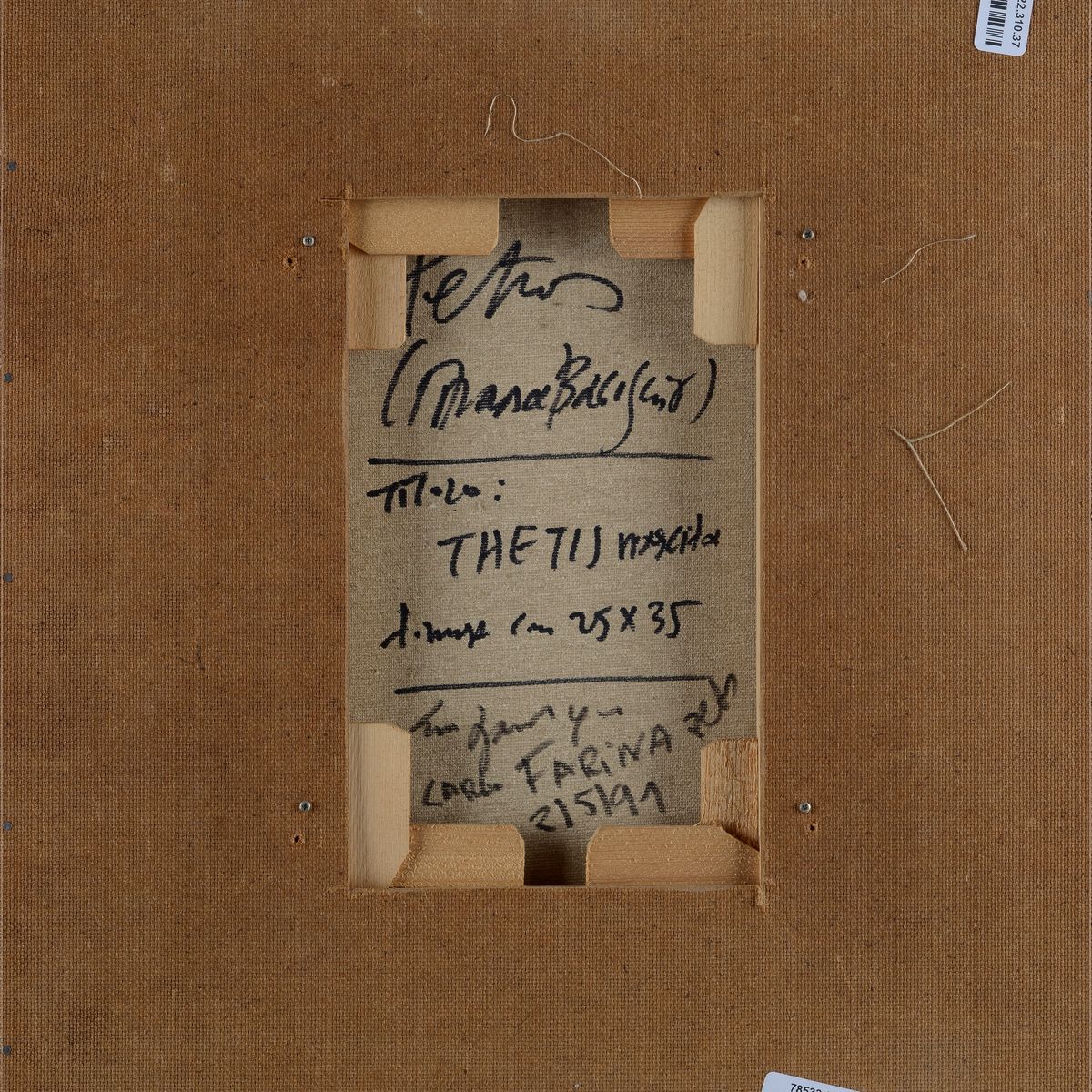 Petros Papavassiliou - Thetis Nascita