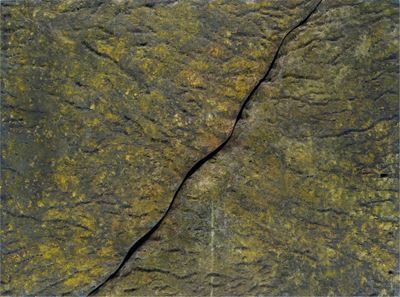 Palpebra che Custodisce L'universo