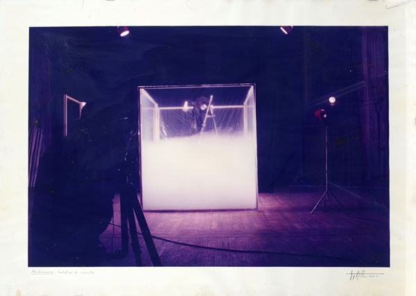 Anonimo, XX sec. : Performance: tentativo di crescita  (1980)  - Fotografia a colori  [..]