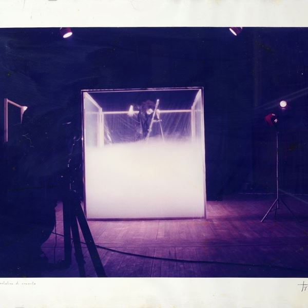 Anonimo, XX sec. : Performance: tentativo di crescita  (1980)  - Fotografia a colori - Asta GRAFICA - Galleria Pananti Casa d'Aste