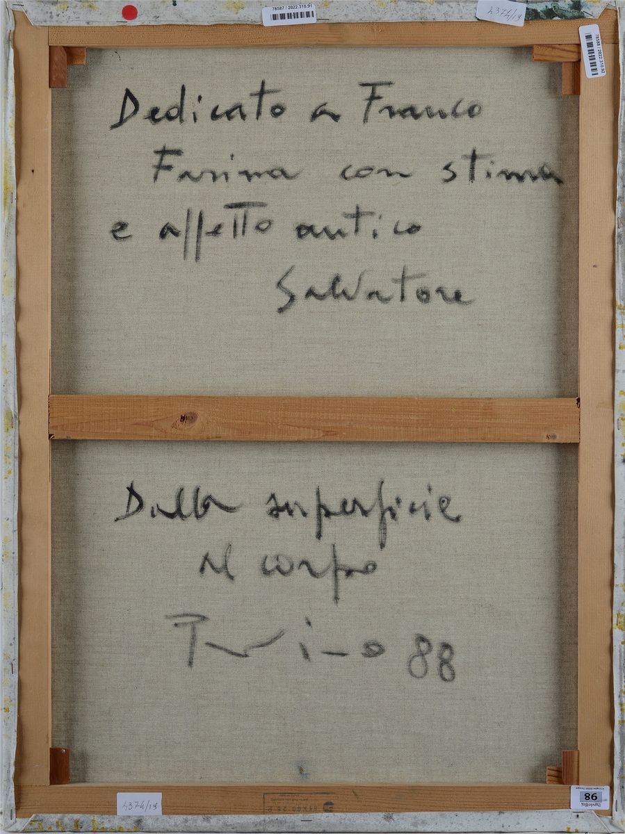 Salvatore Provino - Dalla Superficie al Corpo
