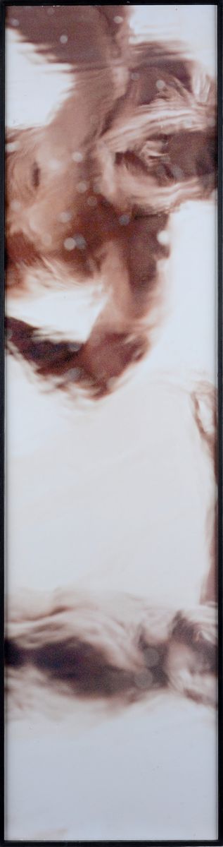 Andrea Pacanowski - Uomini