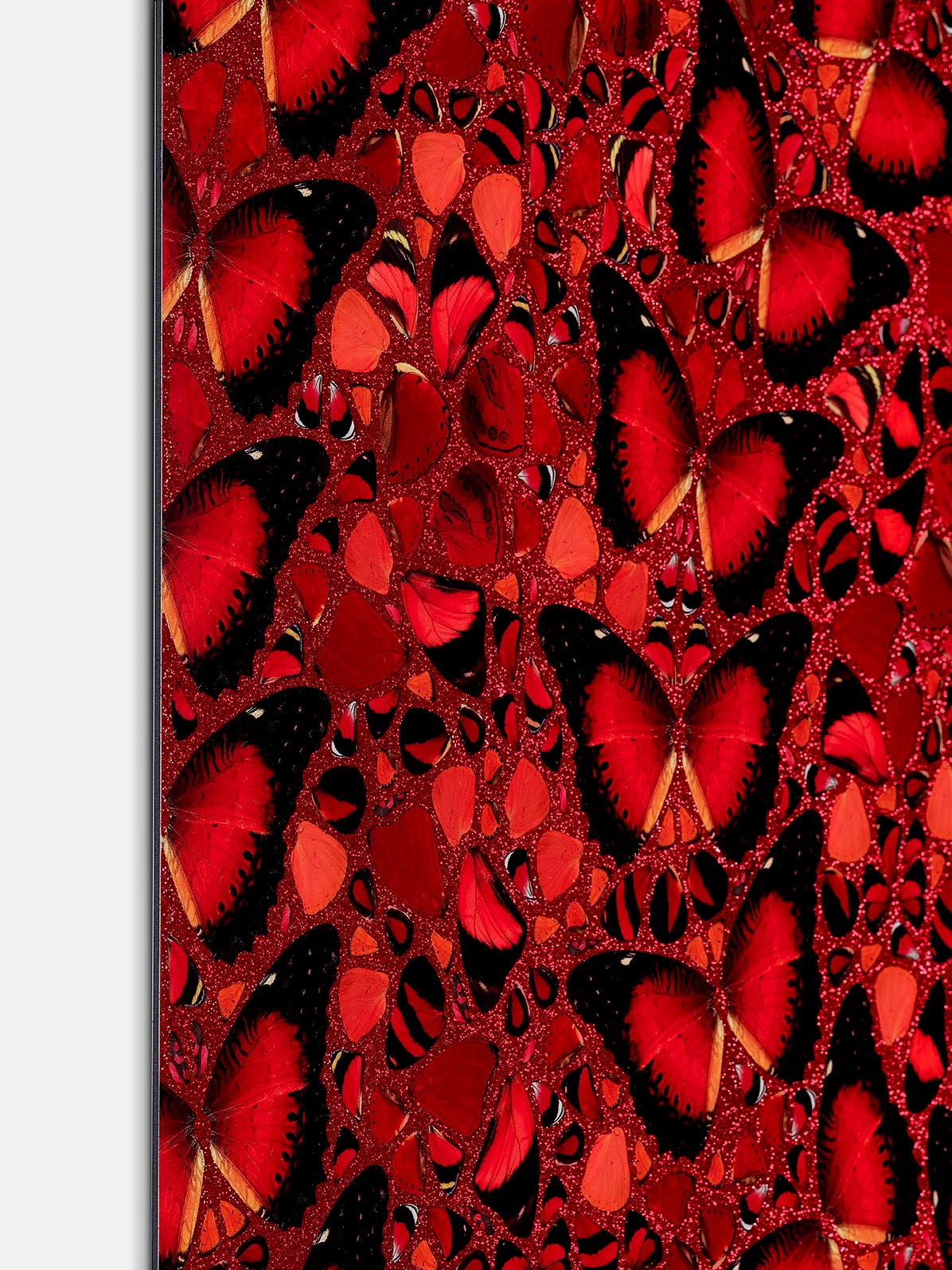 Damien Hirst - H10-5 Taytu Betul