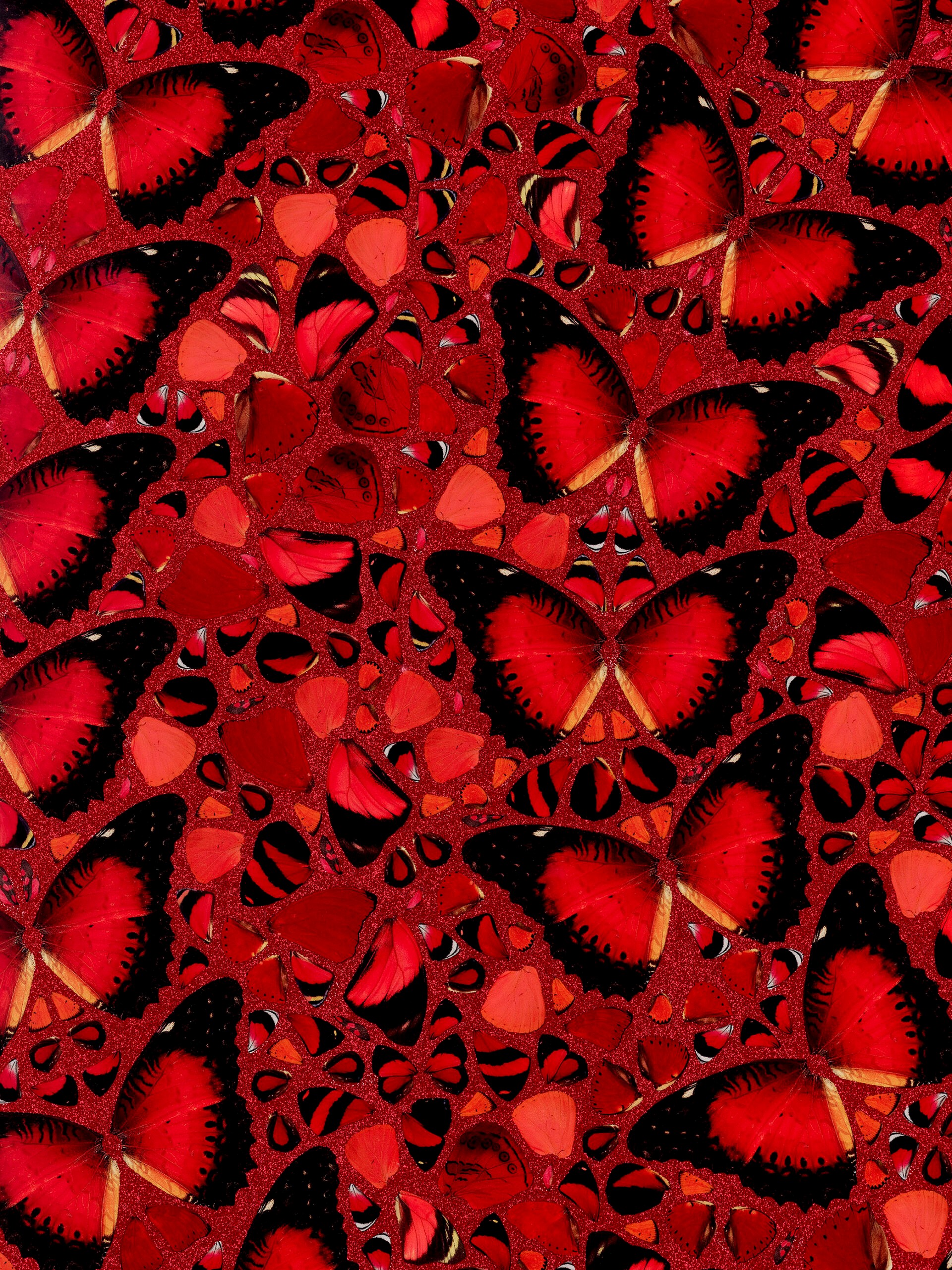 Damien Hirst - H10-5 Taytu Betul