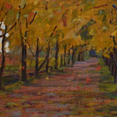 Cascine
