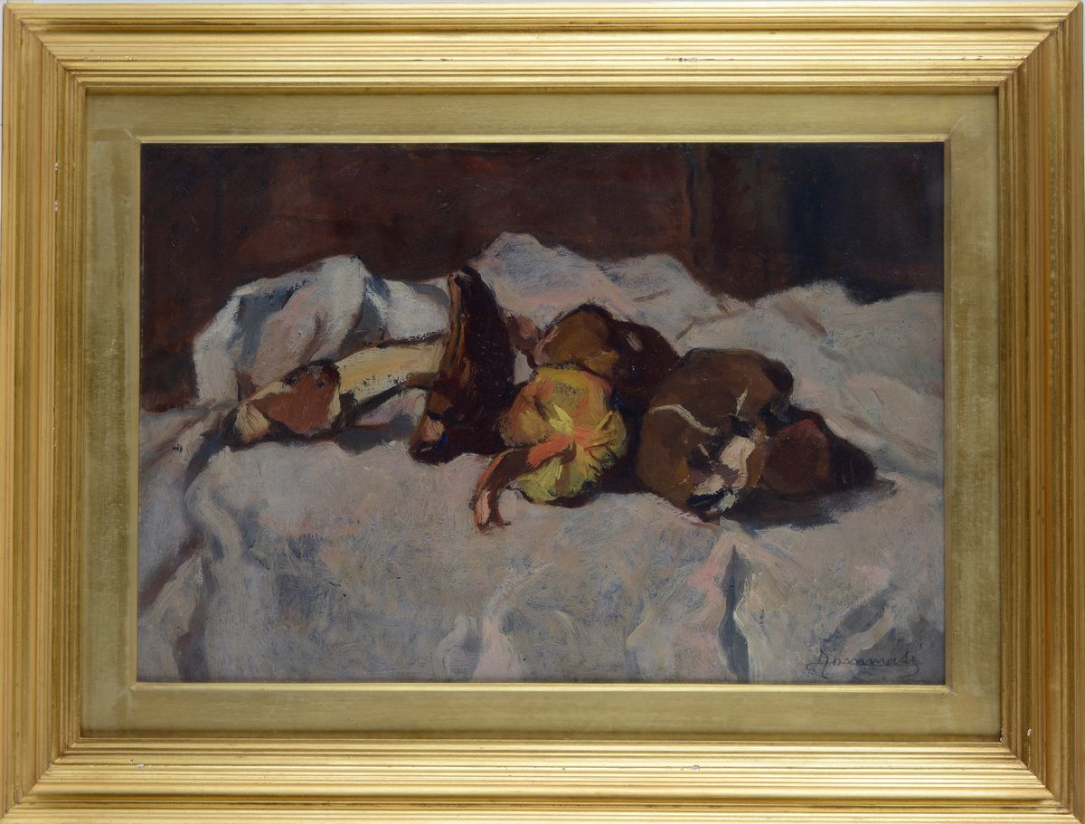 Ludovico Tommasi - Funghi