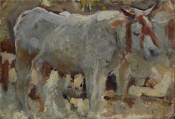 Cesare Ciani - Ox