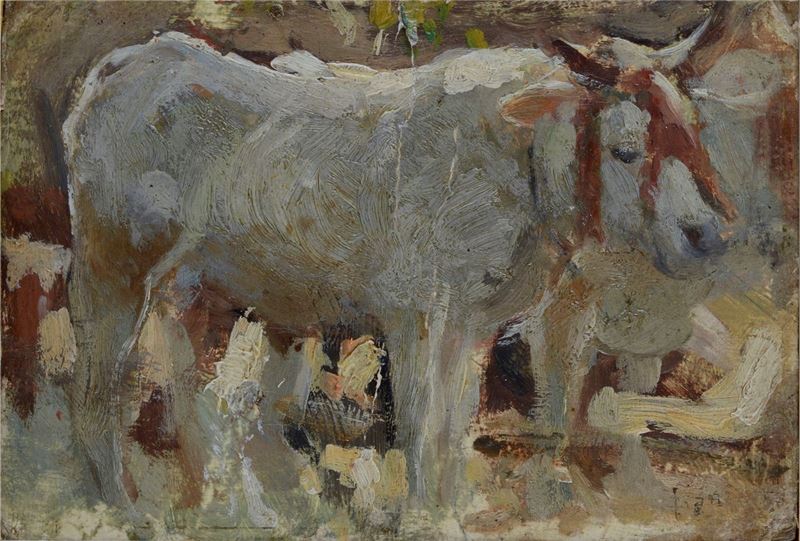 Cesare Ciani - Bue