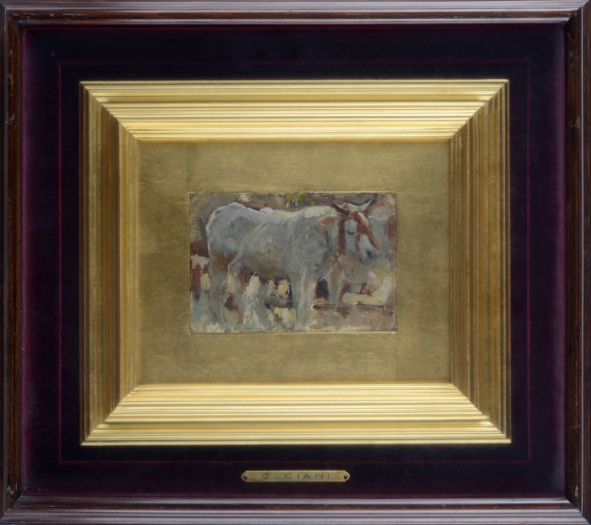 Cesare Ciani - Bue