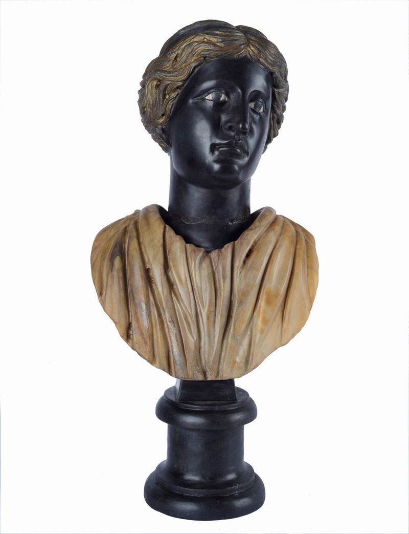 Anonimo, XIX Sec. - Busto Classico Muliebre
