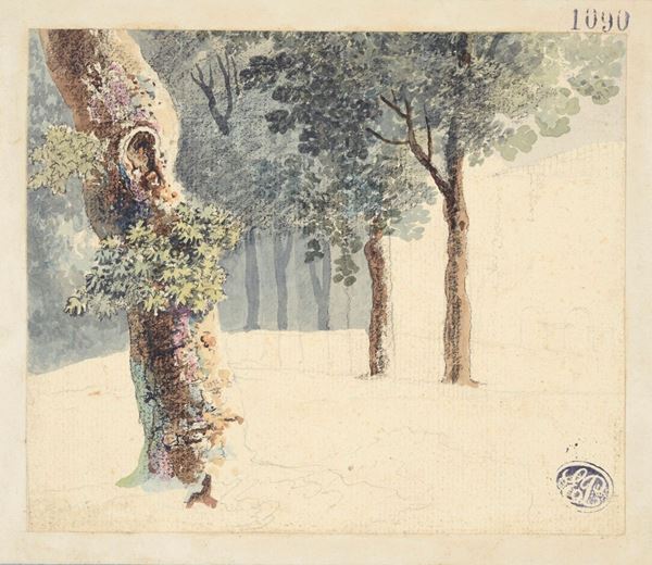 Anonimo, XIX sec. : Trees  - Watercolor on paper - Auction AUTHORS OF XIX AND XX CENTURY - II - Galleria Pananti Casa d'Aste