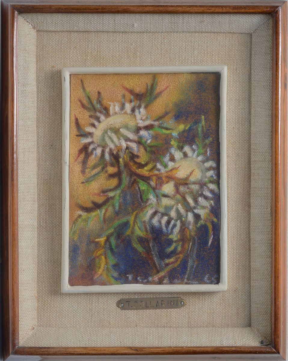 Tina Collarini - Fiori delle Alpi